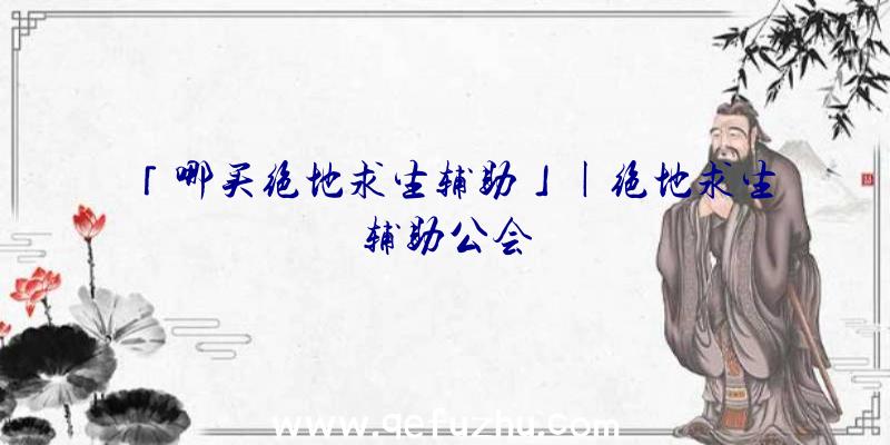 「哪买绝地求生辅助」|绝地求生辅助公会